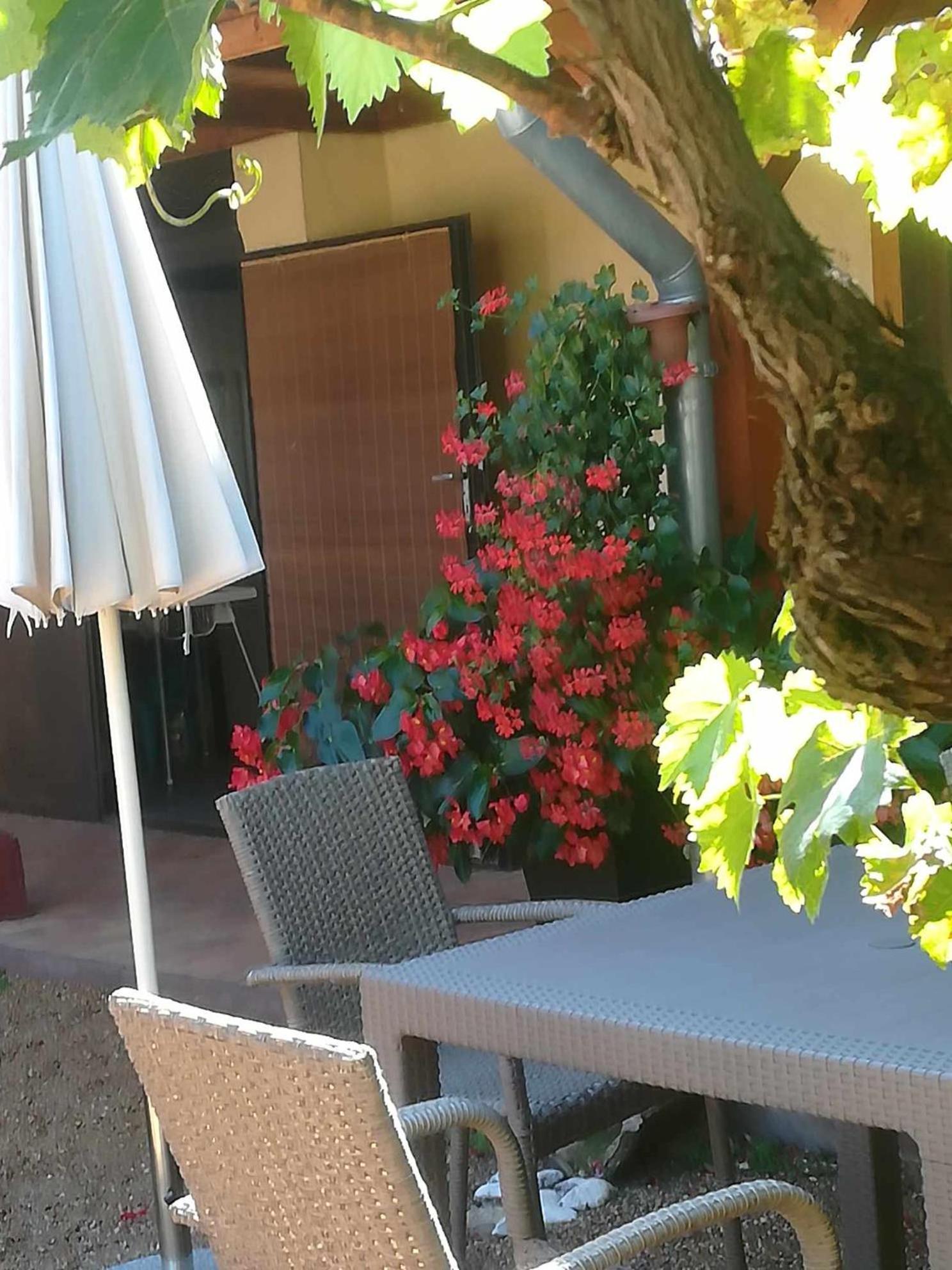 Apartamento Muskátlis Ház Balatonlelle Exterior foto