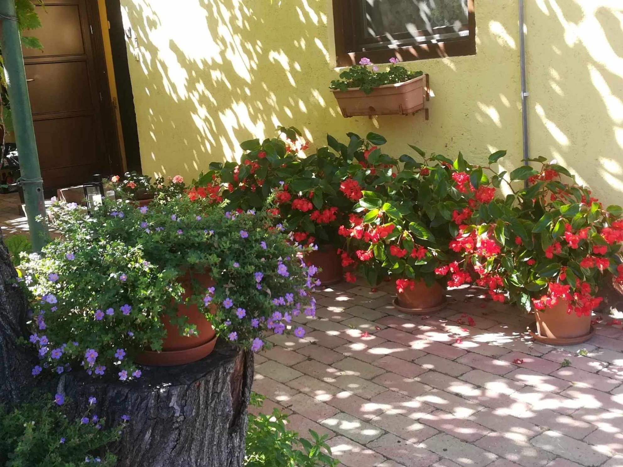 Apartamento Muskátlis Ház Balatonlelle Exterior foto